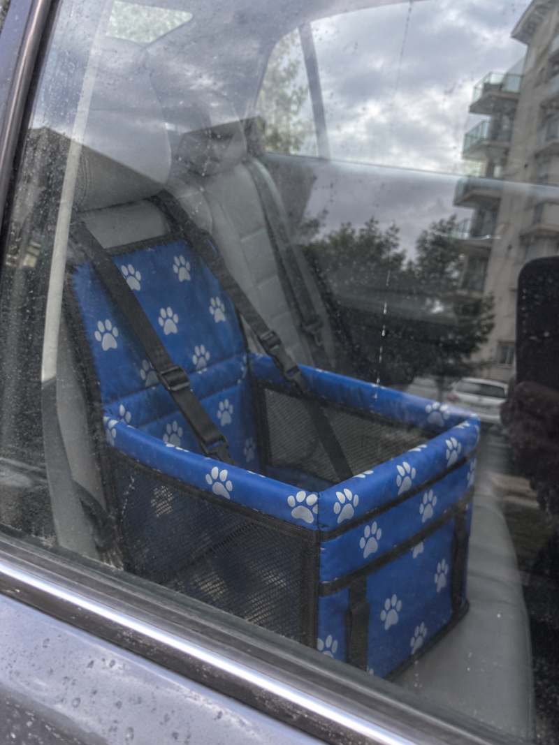 Mascota utilizando la cuna de viaje