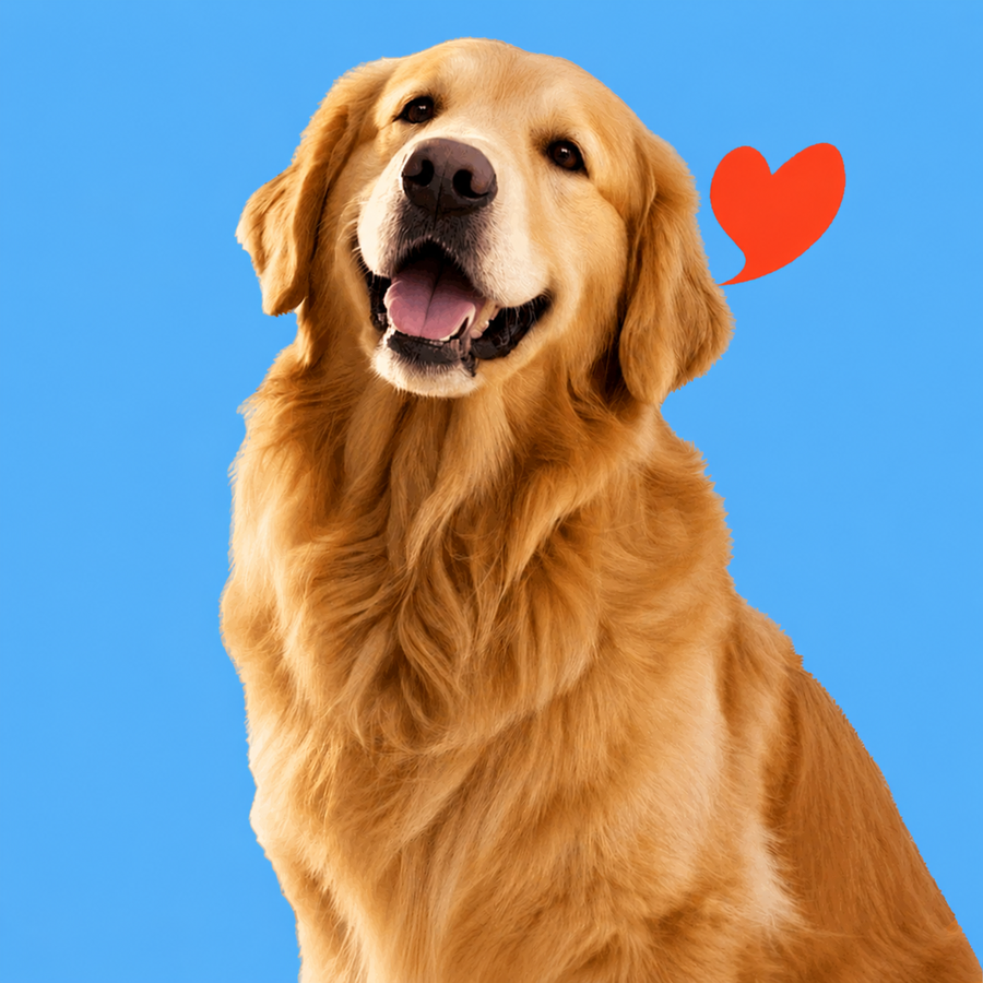 Para perros grandes