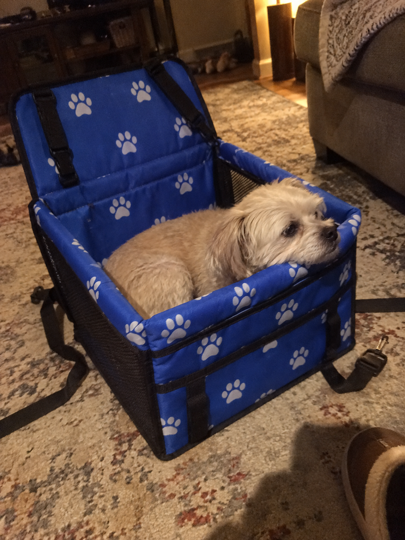 Mascota utilizando la cuna de viaje