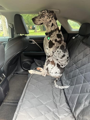 Cliente usando la funda protectora en su coche