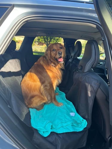 Cliente usando la funda protectora en su coche