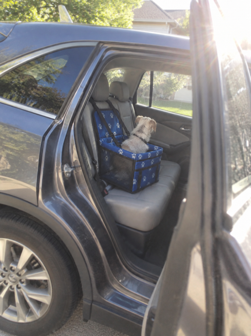 Mascota utilizando la cuna de viaje