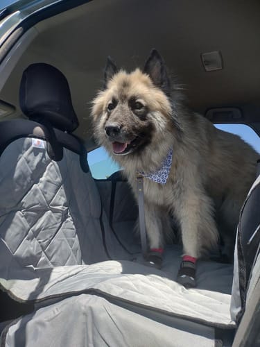 Cliente usando la funda protectora en su coche